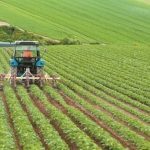 Πολιτικές και προτεραιότητες στον αγροτικό τομέα της ΕΕ – Τα σημαντικά σημεία για την Ελλάδα