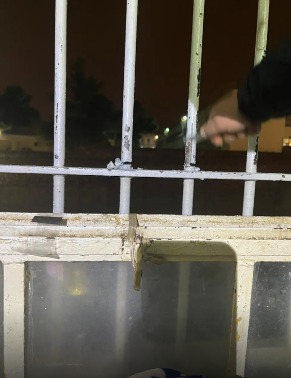 Εσωτερική εικόνα άρθρου