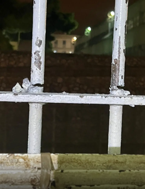 Εσωτερική εικόνα άρθρου