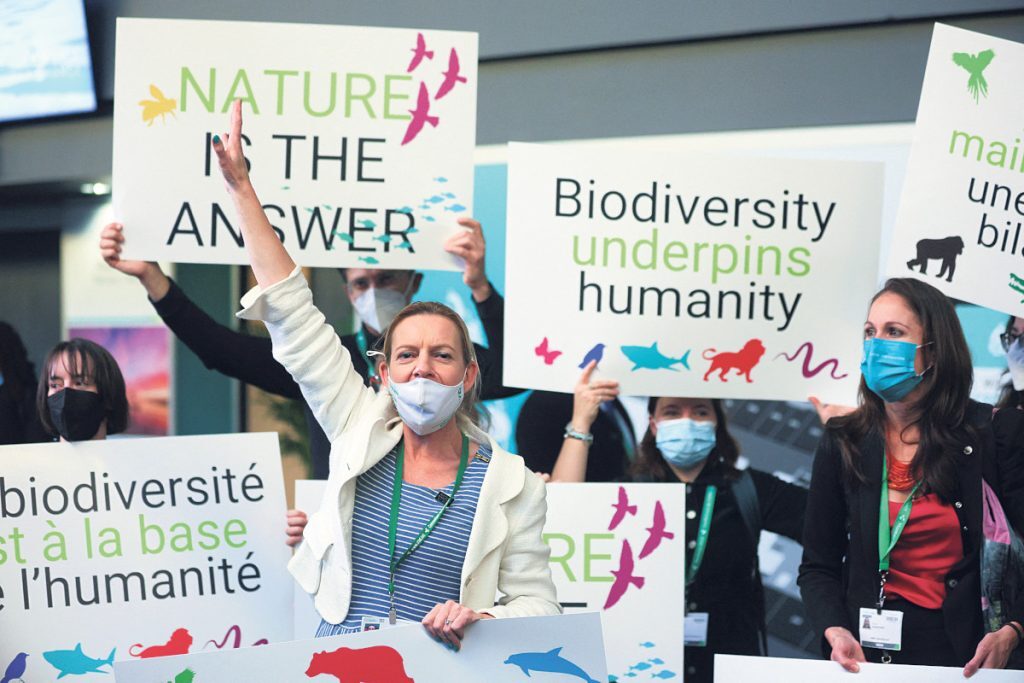 COP-15: Ιστορική συμφωνία για να σωθεί το 30% της Γης