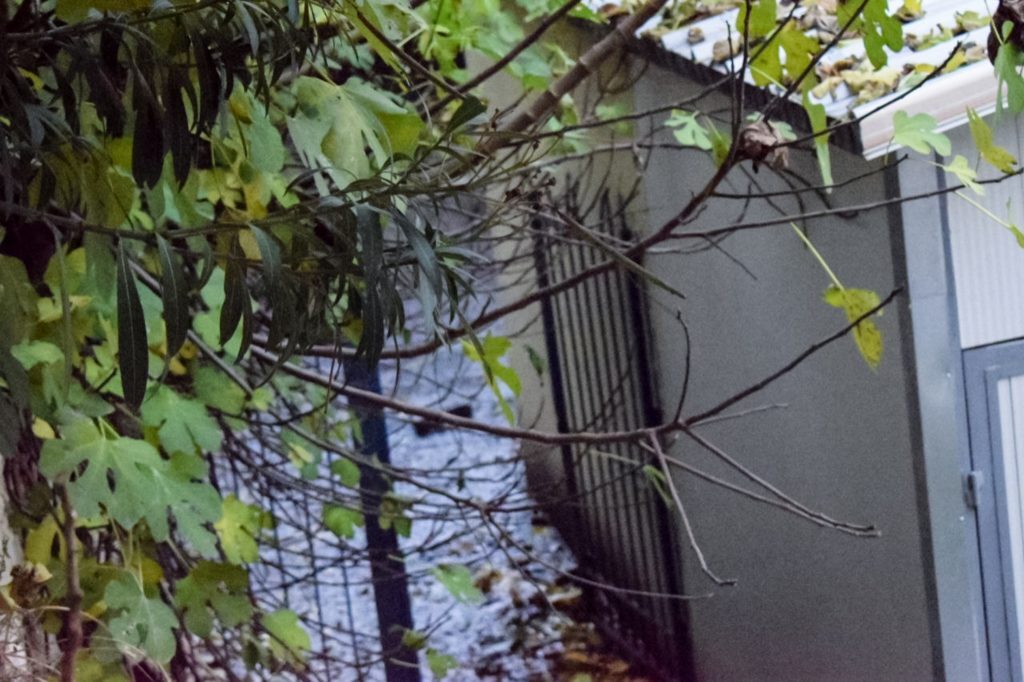 Σέρρες: Τα 6 λάθη και οι παραλείψεις που οδήγησαν στην τραγωδία