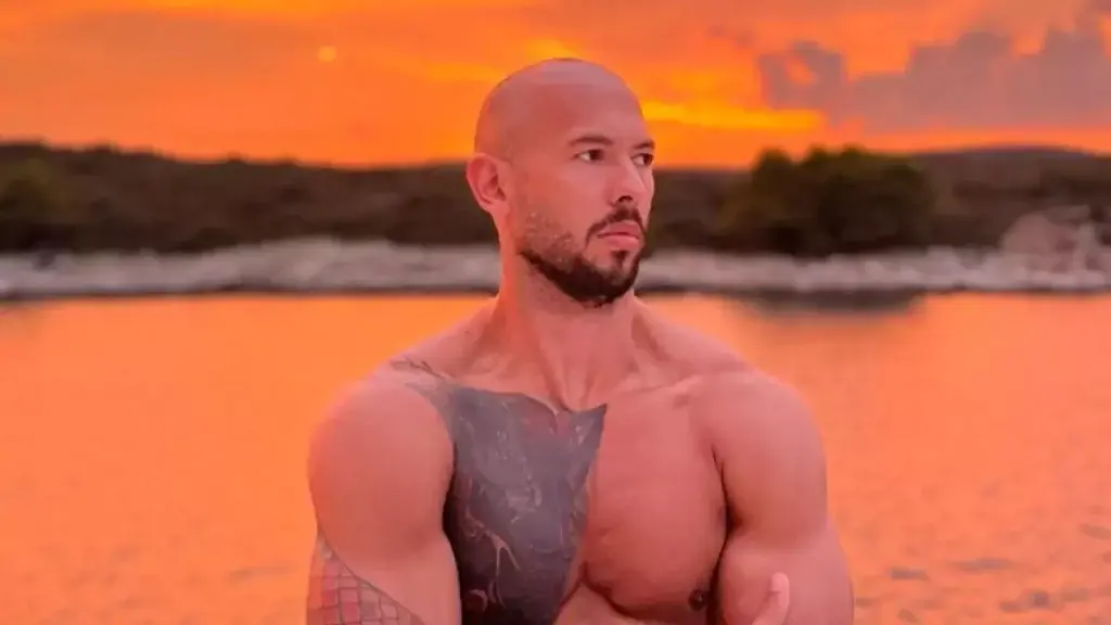 Τούνμπεργκ Άντριου Τέιτ