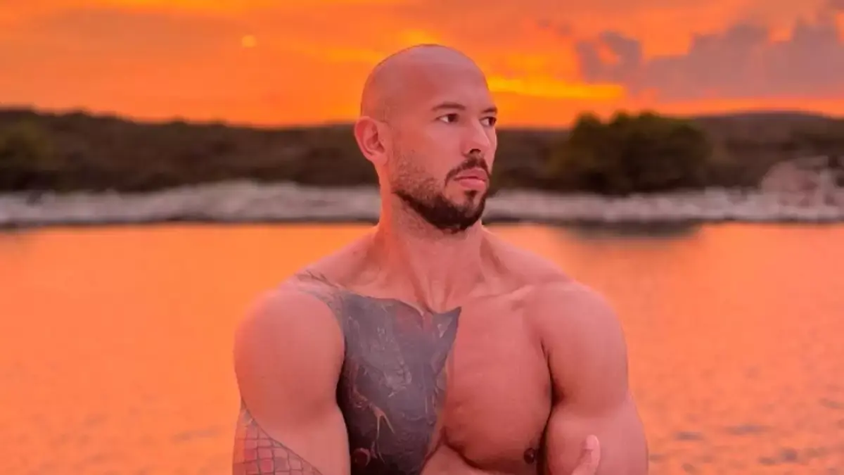 Τούνμπεργκ Άντριου Τέιτ