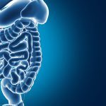 Το σύνδρομο ευερέθιστου εντέρου ίσως να προκαλείται από τη… βαρύτητα