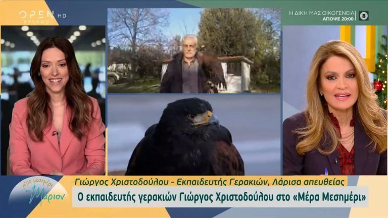 Λάρισα: Έβγαλε βόλτα στο πάρκο το γεράκι κι έγινε viral