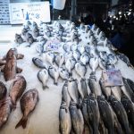 Ανατιμήσεις στα ψάρια – Oι τιμές στη Βαρβάκειο Αγορά