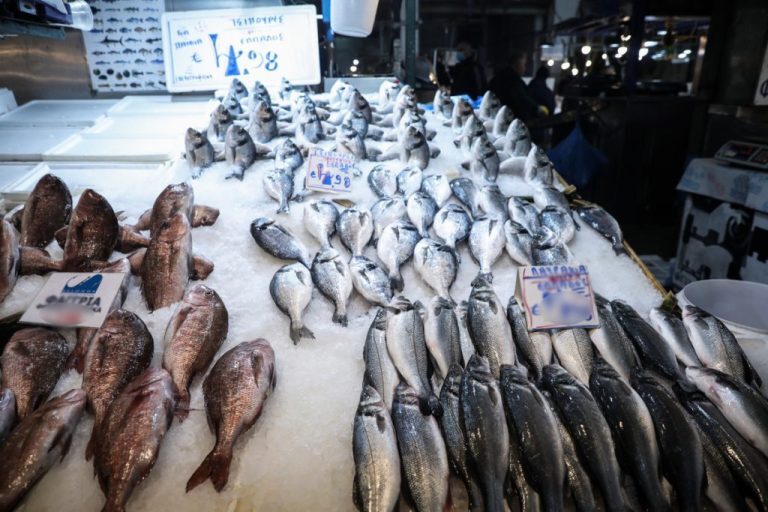 Καθαρά Δευτέρα ψάρια