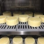 Casu Marzu: Το παράξενο ιταλικό τυρί με τα τα ζωντανά σκουλήκια