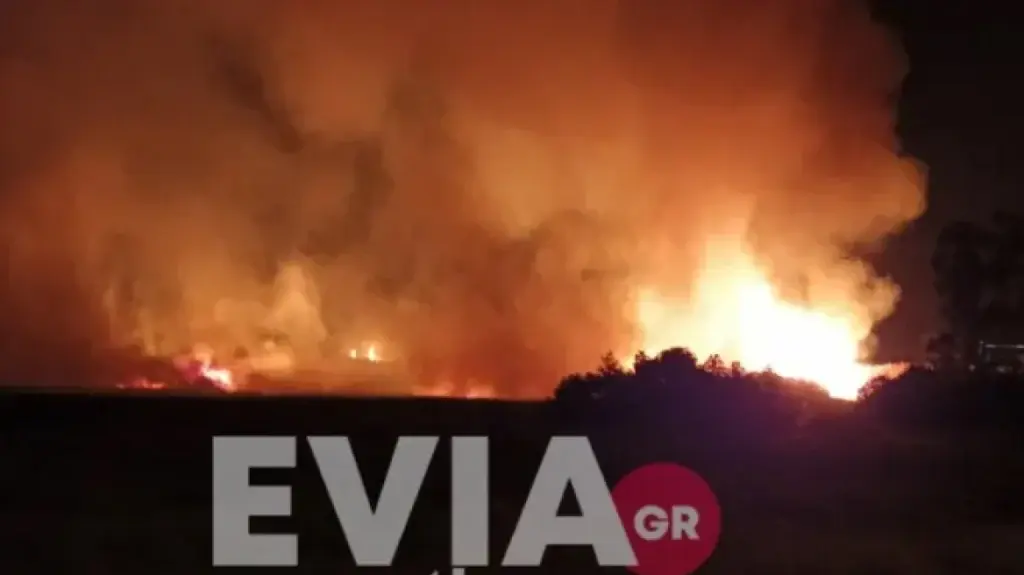 Φωτιά στα Ψαχνά Ευβοίας – Συναγερμός στην Πυροσβεστική