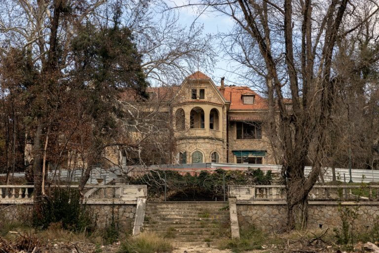 Πύλη των Συλλογών Τατοΐου: Περισσότερα από 70.000 αντικείμενα με ένα «κλικ»