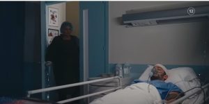 Η Γη της Ελιάς