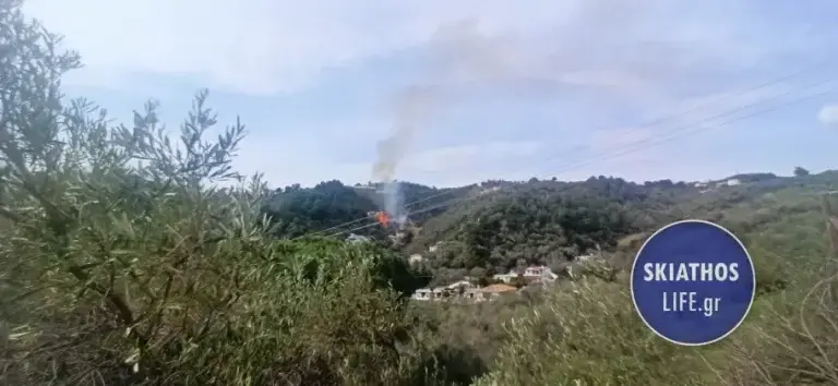 Σκιάθος: Φωτιά σε δασική έκταση στην περιοχή Αχλαδιές [εικόνες]
