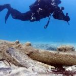 Ναυάγιο στη Χαλκιδική φαίνεται να συνδέεται με την Επανάσταση του 1821 [εικόνες]