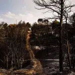 Μάτι: Τι κατέθεσε ο Ηλίας Ψινάκης για την ημέρα της τραγωδίας