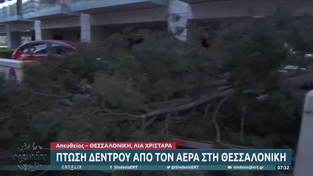 Καιρός: Ισχυρός Βαρδάρης στη Θεσσαλονίκη – Πτώσεις δέντρων και διακοπές ηλεκτροδότησης
