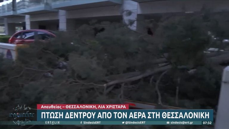 Καιρός: Ισχυρός Βαρδάρης στη Θεσσαλονίκη – Πτώσεις δέντρων και διακοπές ηλεκτροδότησης