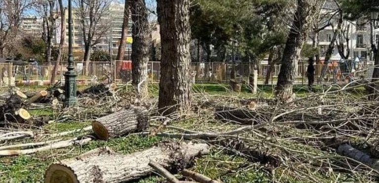 Θεσσαλονίκη: Προσφυγές Βούγια και Κουράκη κατά του δήμου για τις κοπές δέντρων