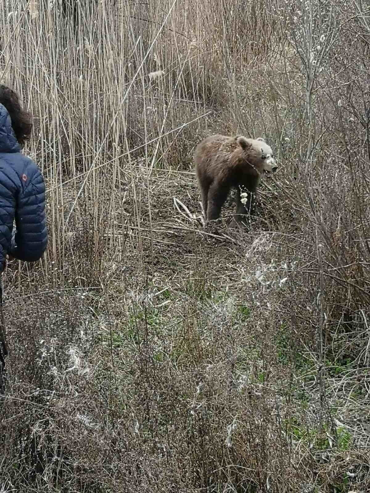 Εσωτερική εικόνα άρθρου