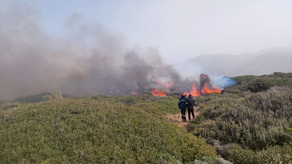 Κρήτη: Συνελήφθη ο εμπρηστής στα Μάλια -Βρέθηκε βλήμα από την Κατοχή στα αποκαΐδια