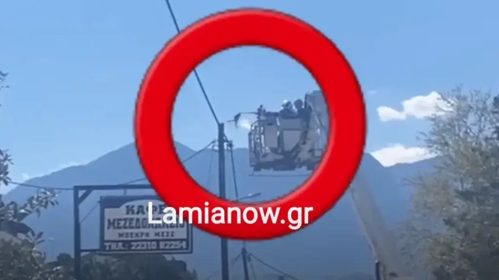 Λαμία: Άτακτος γάτος κινητοποίησε πυροσβεστική και ΔΕΔΔΗΕ – Έκλαιγε στην κορυφή μιας κολώνας τ
