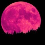 «Ροζ φεγγάρι»: Απόψε η πρώτη πανσέληνος του Απριλίου [Βίντεο]