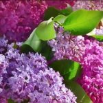 Μεγάλη Παρασκευή