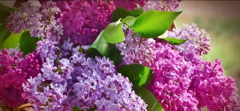 Μεγάλη Παρασκευή