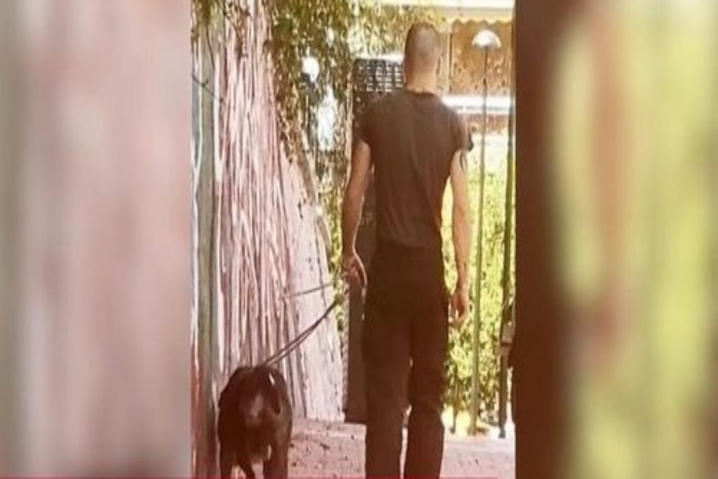 Βύρωνας: Αυτός είναι ο άνανδρος που έβαζε το πίτμπουλ να σκοτώνει γατάκια – Σε ποιο reality συμμετεί
