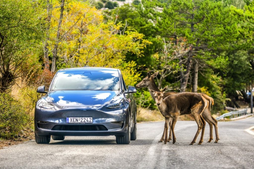 Tesla Model Y: Φθηνότερο από το μέσο όρο νέων αυτοκινήτων στις Η.Π.Α