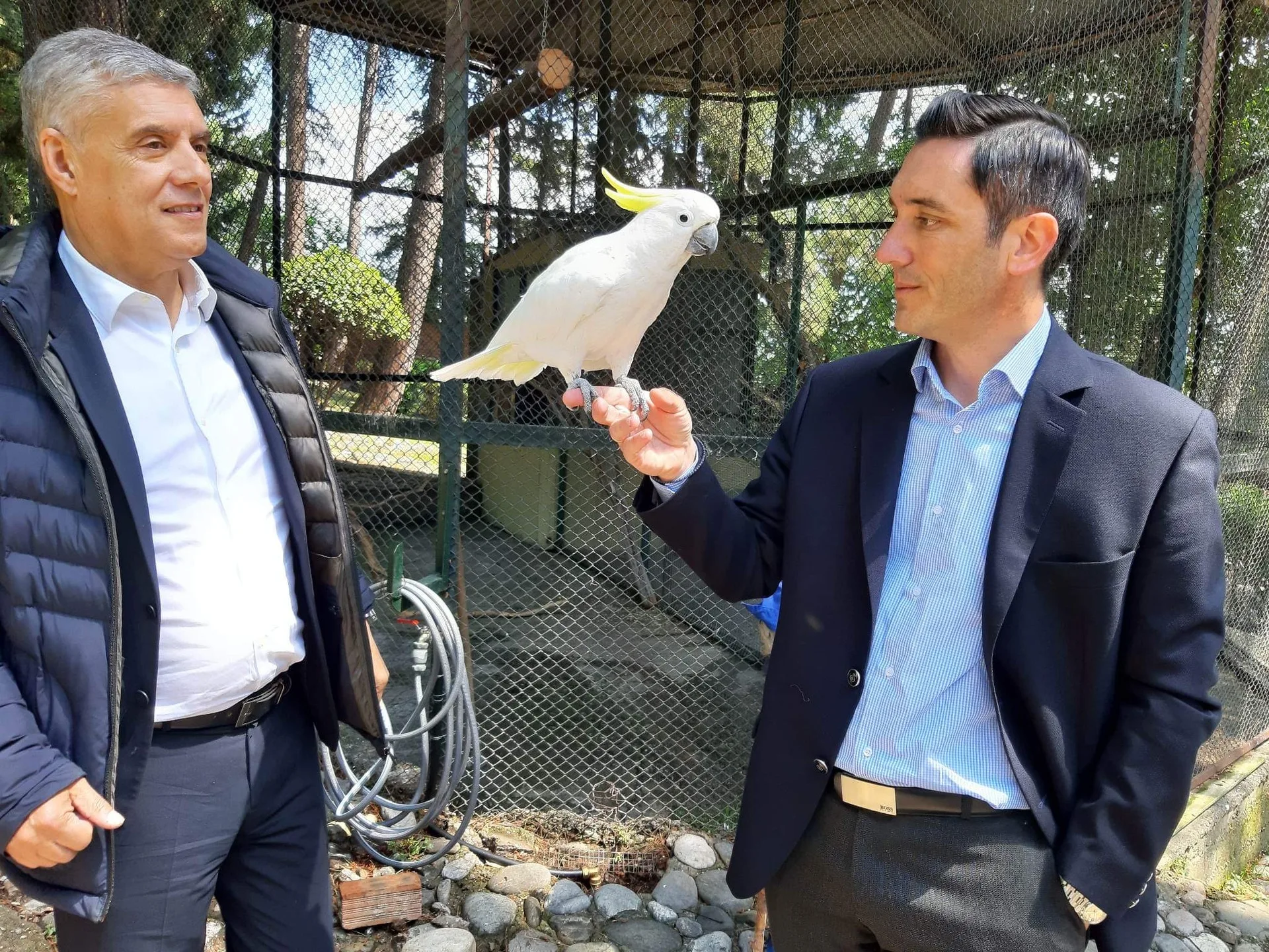 Εσωτερική εικόνα άρθρου