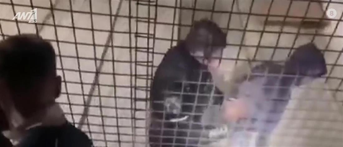 Ομόνοια: Έβλεπε live την διάρρηξη στην αποθήκη του [βίντεο]