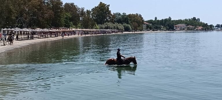 Μαγνησία: Εντυπωσιακές εικόνες από τον «Αγιασμό των Αλόγων» στα Καλά Νερά