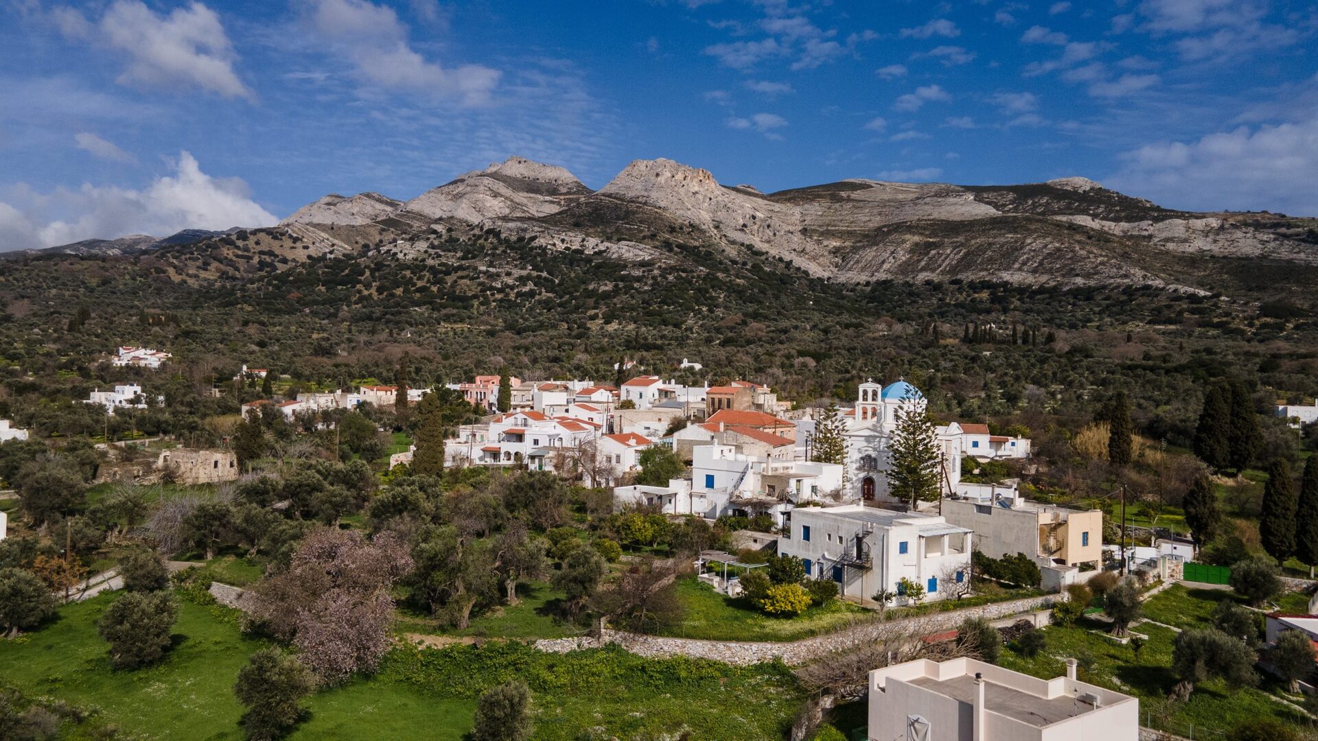 Εσωτερική εικόνα άρθρου