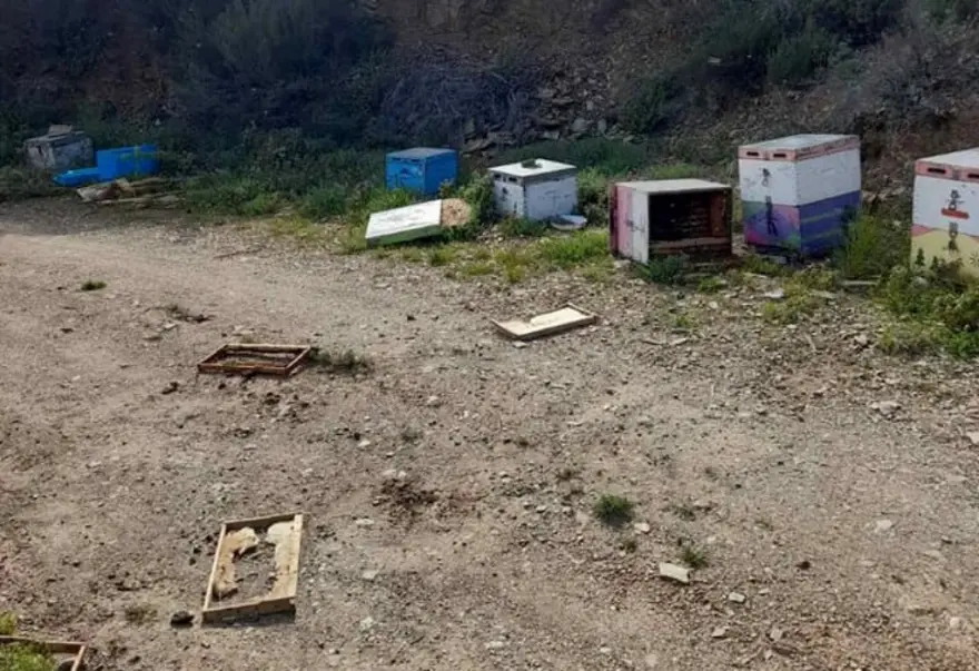 Εσωτερική εικόνα άρθρου