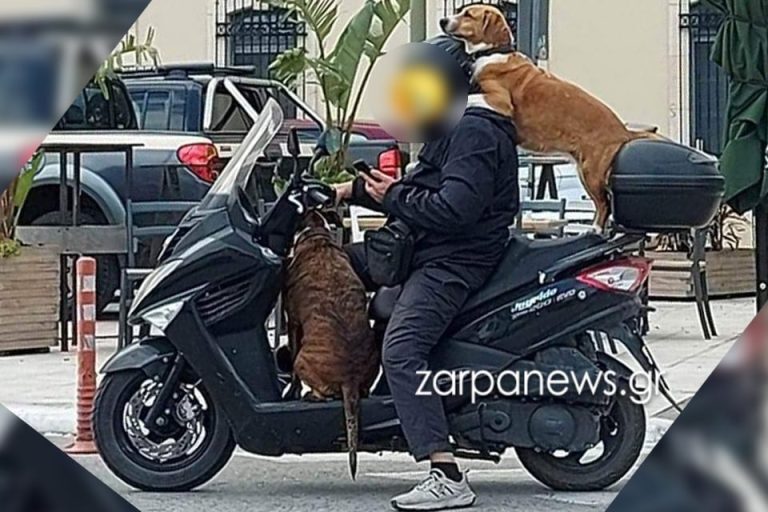 Κρήτη: Πρόστιμο 1.500 ευρώ σε οδηγό για τρικάβαλο με δύο σκύλους – «Δεν είναι επικίνδυνο» υποστηρίζει