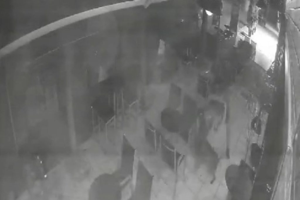 Σέρρες: Βίντεο σοκ – Καρέ καρέ η σκηνή που 27χρονος μαχαιρώνει θανάσιμα σκύλο, καταδικάστηκε σε 6 χρ