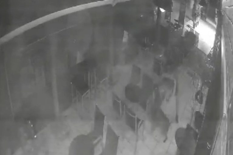 Σέρρες: Βίντεο σοκ – Καρέ καρέ η σκηνή που 27χρονος μαχαιρώνει θανάσιμα σκύλο, καταδικάστηκε σε 6 χρόνια φυλάκισης