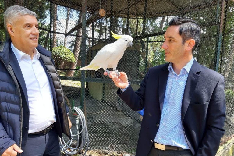 Τρίκαλα: Εργα τέχνης από παλιούς κορμούς δέντρων [εικόνες]