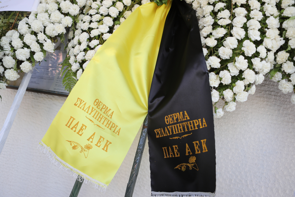 Εσωτερική εικόνα άρθρου