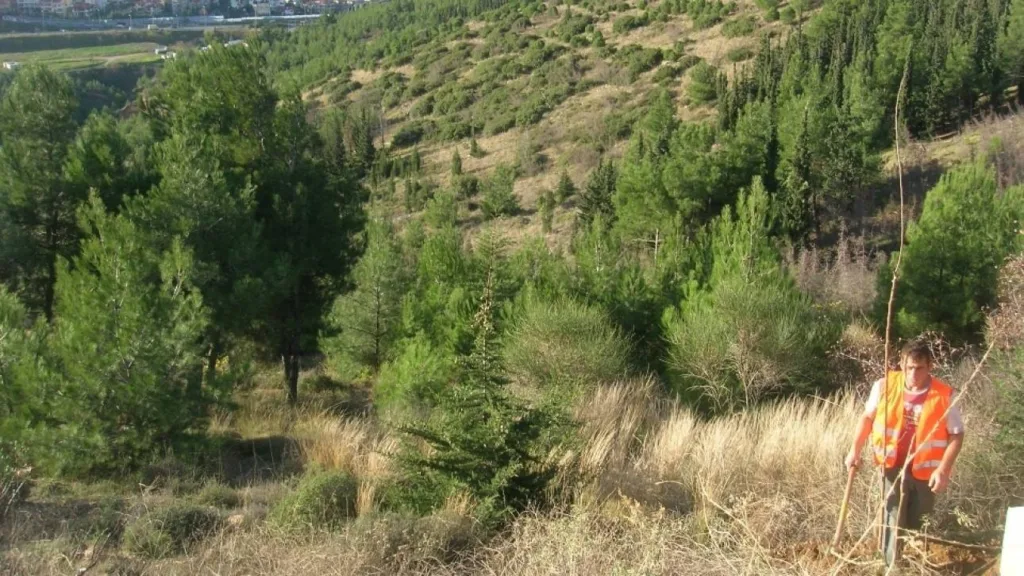 Θεσσαλονίκη: Ρομά έκαιγαν καλώδια στο Σέιχ Σου – Δεν δίστασαν να επιτεθούν σε υπαλλήλους της Π