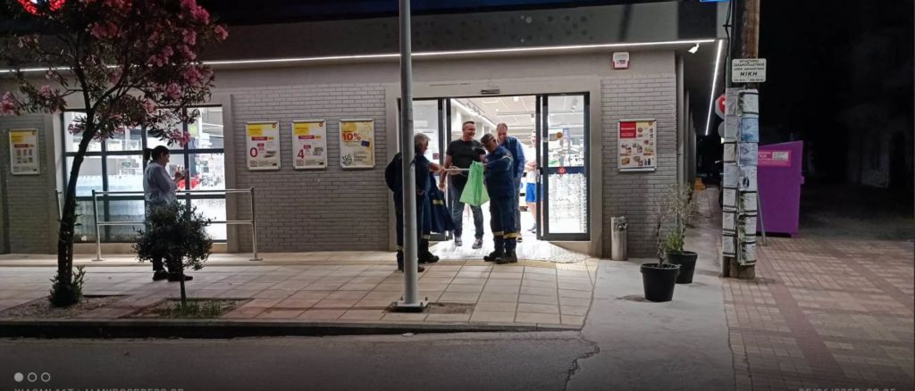 Αλμυρός Βόλου: Φίδι έκανε βόλτες σε σούπερ μάρκετ [βίντεο]