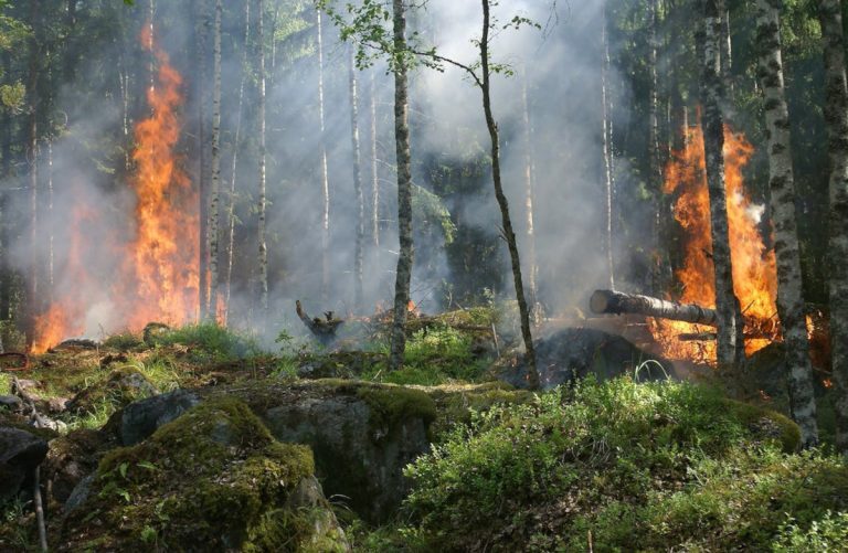 Κλιματική Αλλαγή: 195.000 θάνατοι και 560 δισ. ευρώ οι ζημιές από τα ακραία καιρικά φαινόμενα στην Ευρώπη