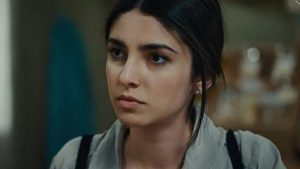 Γη της Ελιάς