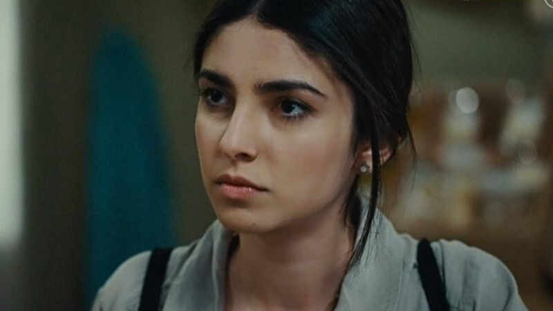 Γη της Ελιάς