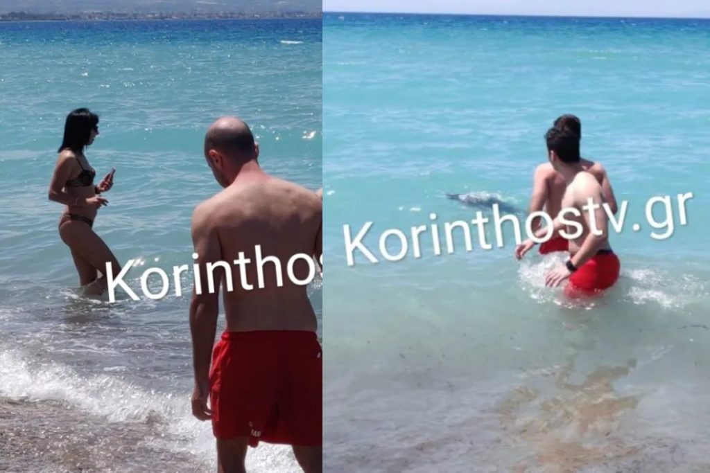 Κόρινθος: «Σαν άνθρωπος» περίμενε το δελφινάκι να το διασώσουν – Αγωνιώδεις προσπάθειες να το 