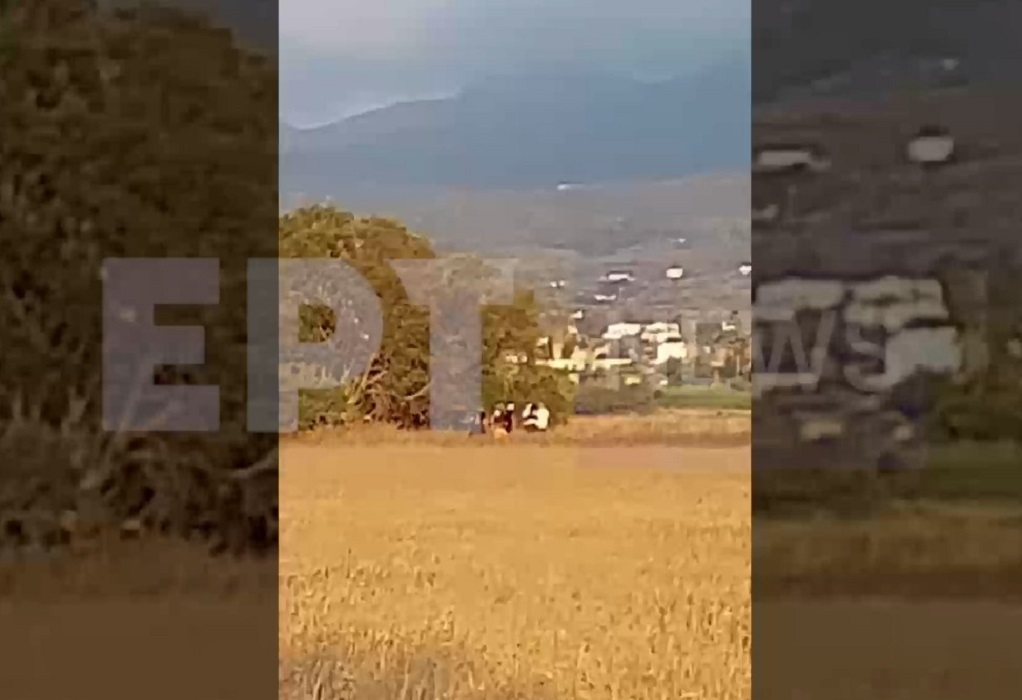 Κως – Βίντεο ντοκουμέντο: Η στιγμή που βγάζουν τη σορό της 27χρονης – Το χρονικό