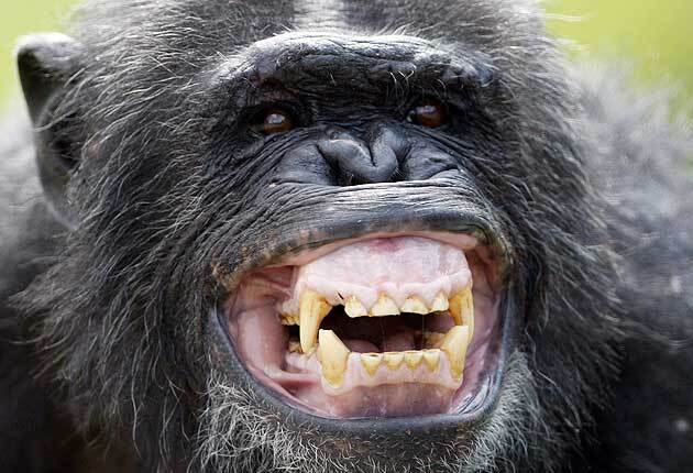 αυνανισμός