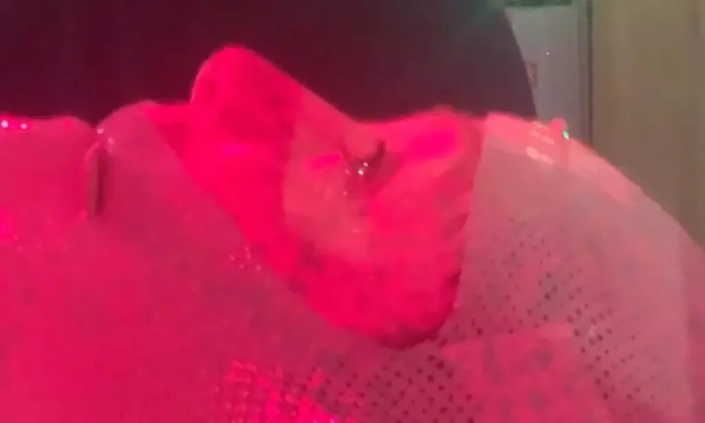 Σάνεν Ντόχερτι