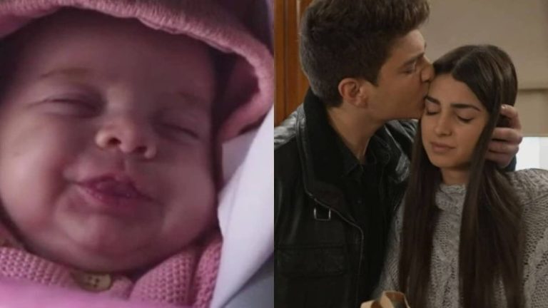 Γη της Ελιάς