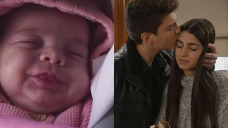 Γη της Ελιάς